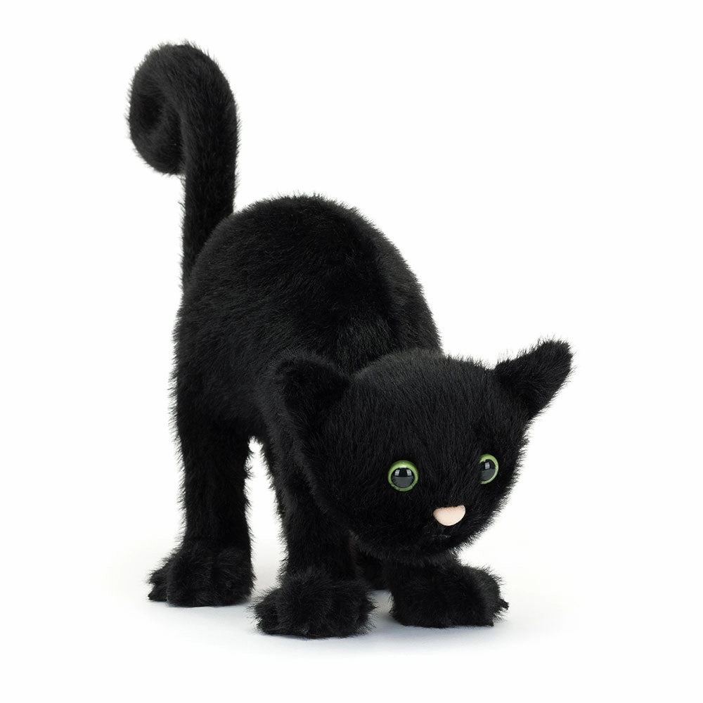Haunted Crafts Creepy Ornaments Spookipaws Cat
