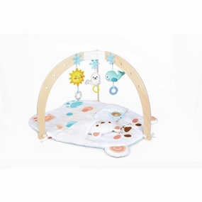 Mystical Lights Snuggle Bear Activity Gym
