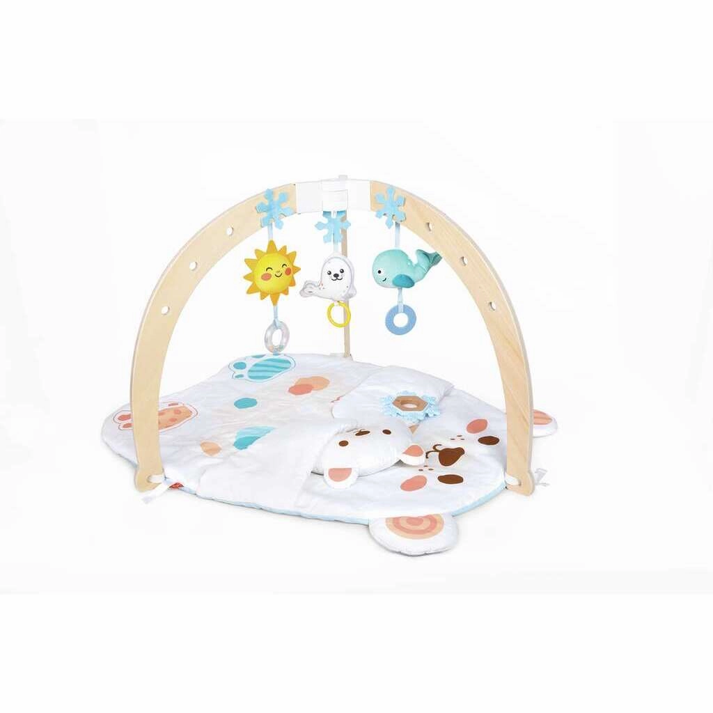 Mystical Lights Snuggle Bear Activity Gym
