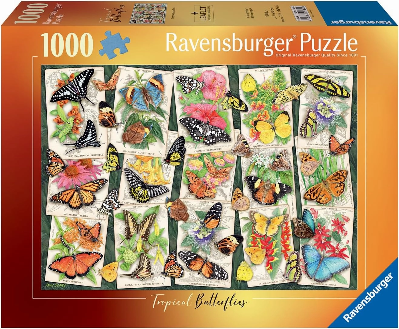 Tropical Butterflies 1000pc Puzzle Spooky Party