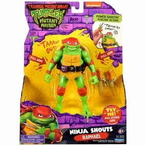 Detailed Figure Teenage Mutant Ninja Turtles Ninja Shouts Figures - Assorted