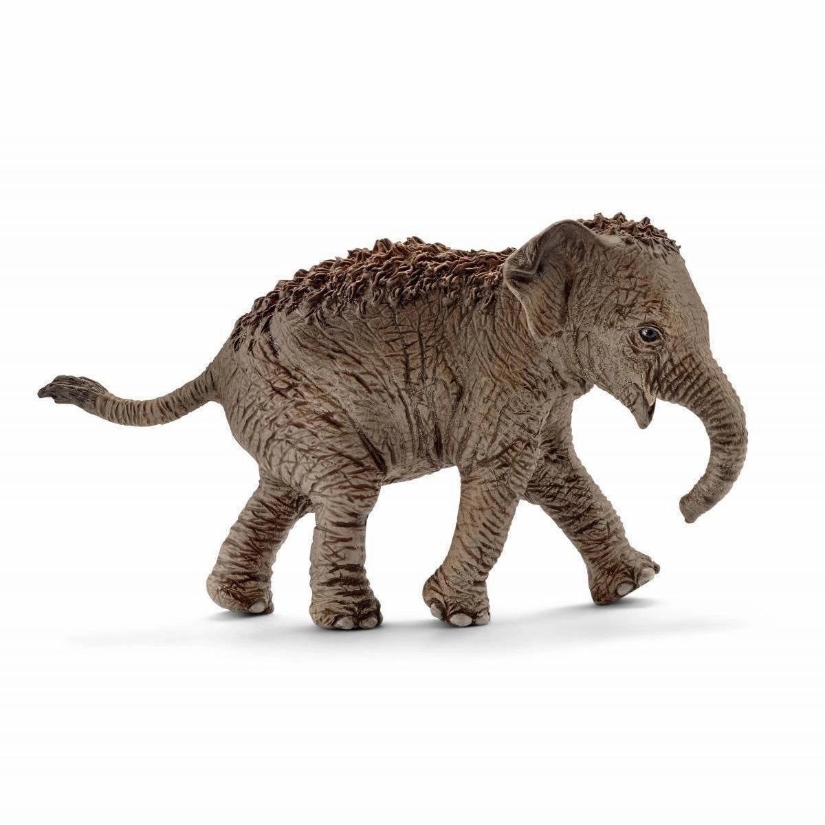 Schleich 14755 Asian Elephant Calf Figure Regional Specialty