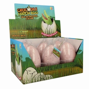 NURCHUMS Hatching Egg, Hatch and Grow Pet Crocodile - Large 11cm Secondary Market