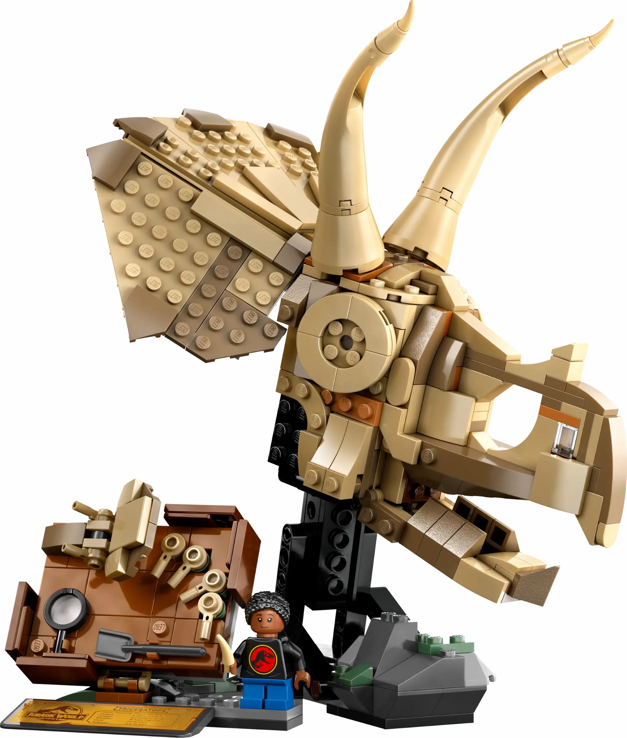 Underground Scene LEGO JURASSIC WORLD 76969 Dinosaur Fossils: Triceratops Skull