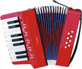 Scary Accents REIG Accordion Musical Instrument