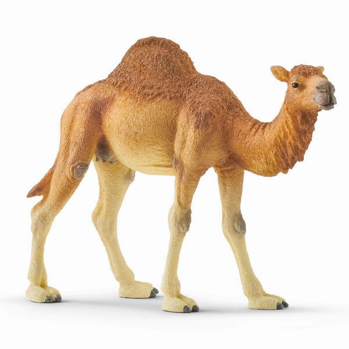 promotional item Valuable Collectible Schleich 14832 Dromedary One-Humped Camel Figure