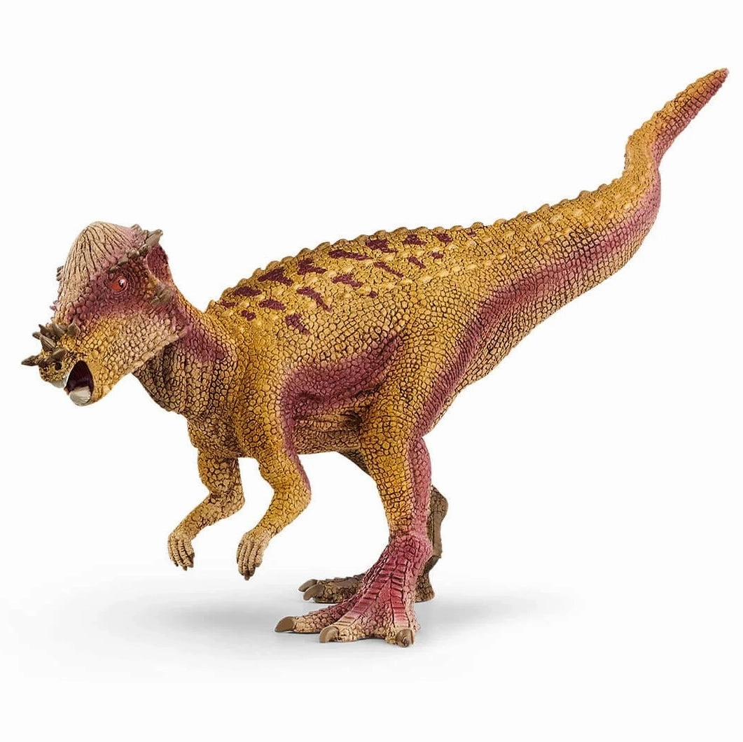 Age Appropriate Cute Collectible SCHLEICH 15024 Pachycephalosaurus Dinosaur Figure