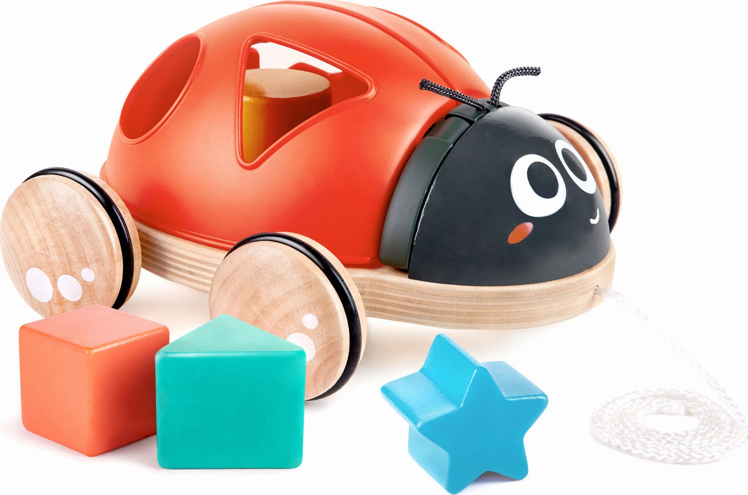 Shape Sorter Ladybug Whimsical designs Monster Accents