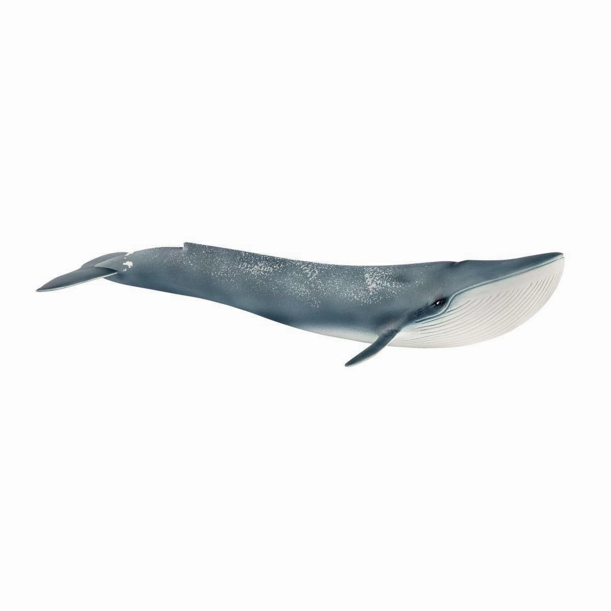 Art Figure Display Cabinet SCHLEICH 14806 Blue Whale Figure