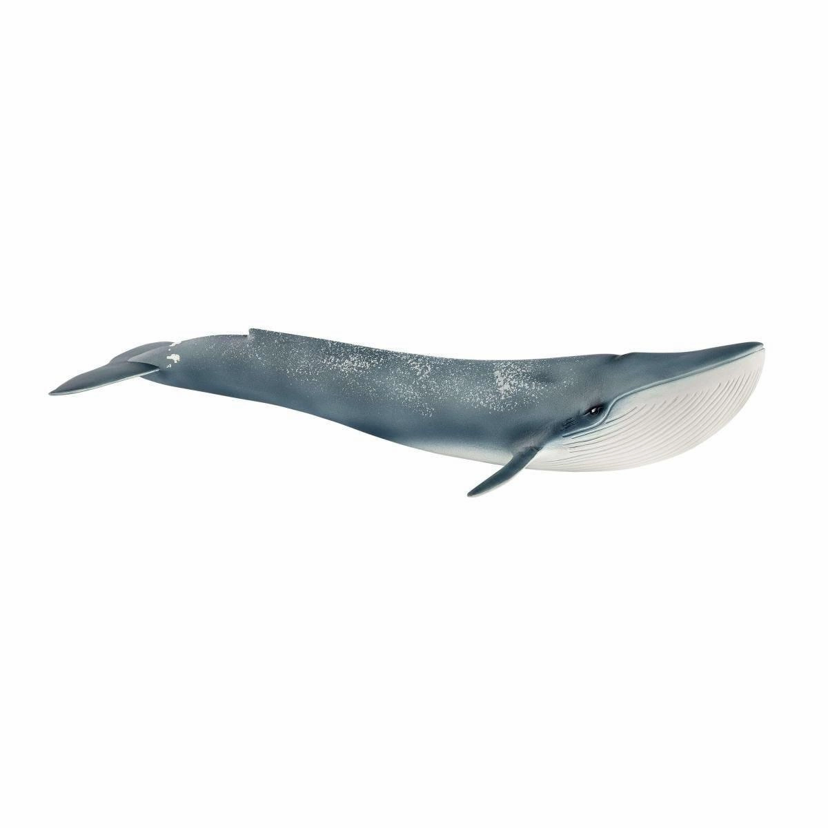 SCHLEICH 14806 Blue Whale Figure Amphibian Statue Instagram Worthy