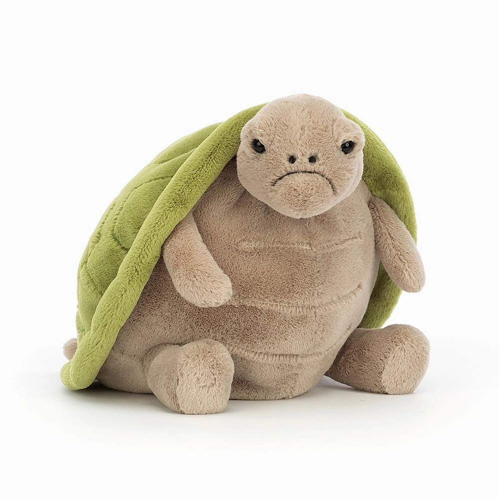 Enchanting Accessories Playful Decorations Timmy Turtle